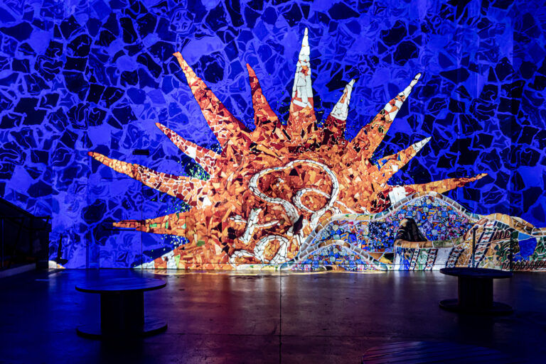 Expositions Dalí & Gaudí aux Bassins des Lumières de Bordeaux !