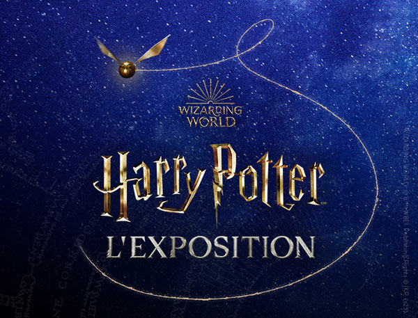 <strong>Visite de l’exposition immersive Harry Potter !</strong>