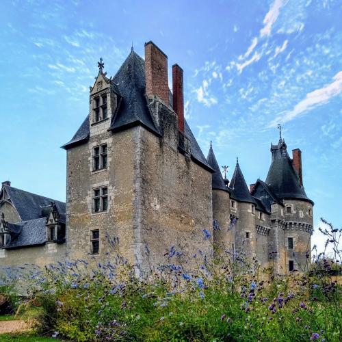 Visite du château de Fougères-sur-Bièvre !