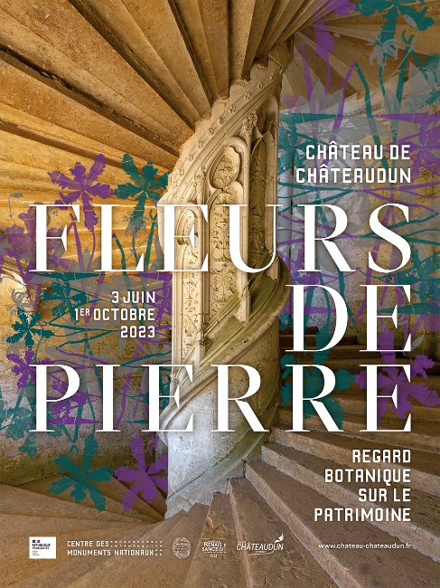 Affiche de l'exposition "Fleurs de pierre, regard botanique sur le patrimoine" au château de Châteaudun. (Visite du château de Châteaudun : un voyage dans le temps !).