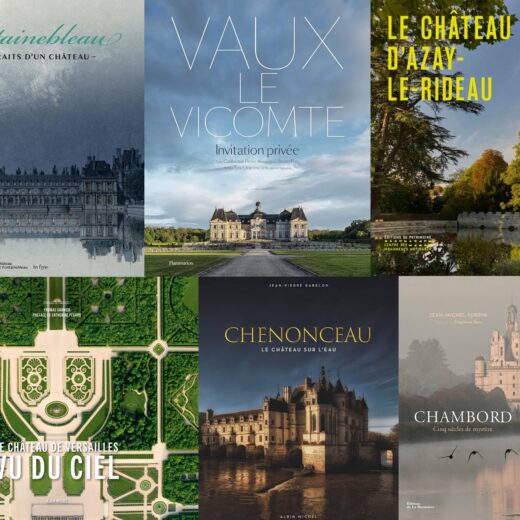 Meilleurs livres pour découvrir les plus beaux châteaux de France !