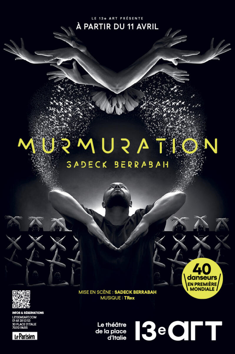 spectacle-murmuration-a-montpellier
