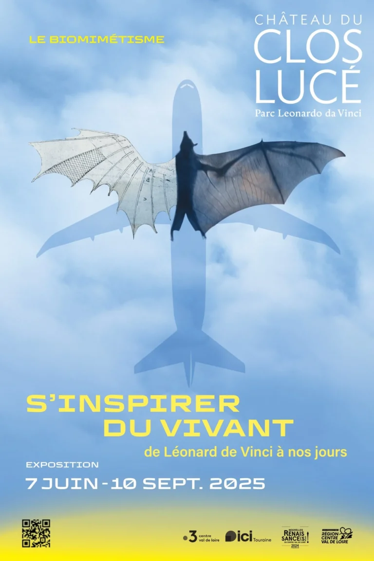 Léonard de Vinci et le biomimétisme : une exposition qui prend le vivant pour modèle au château du Clos Lucé Amboise !
