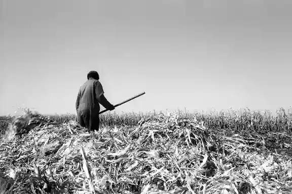 Exposition JO RACTLIFFE Jeu de Paume Paris