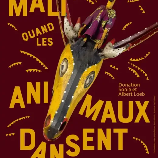 Exposition Au Mali, quand les animaux dansent : un théâtre vivant au musée des Confluences Lyon !