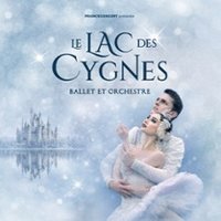 Le Lac des Cygnes – Ballet & Orchestre – Tournée 2027 Besançon