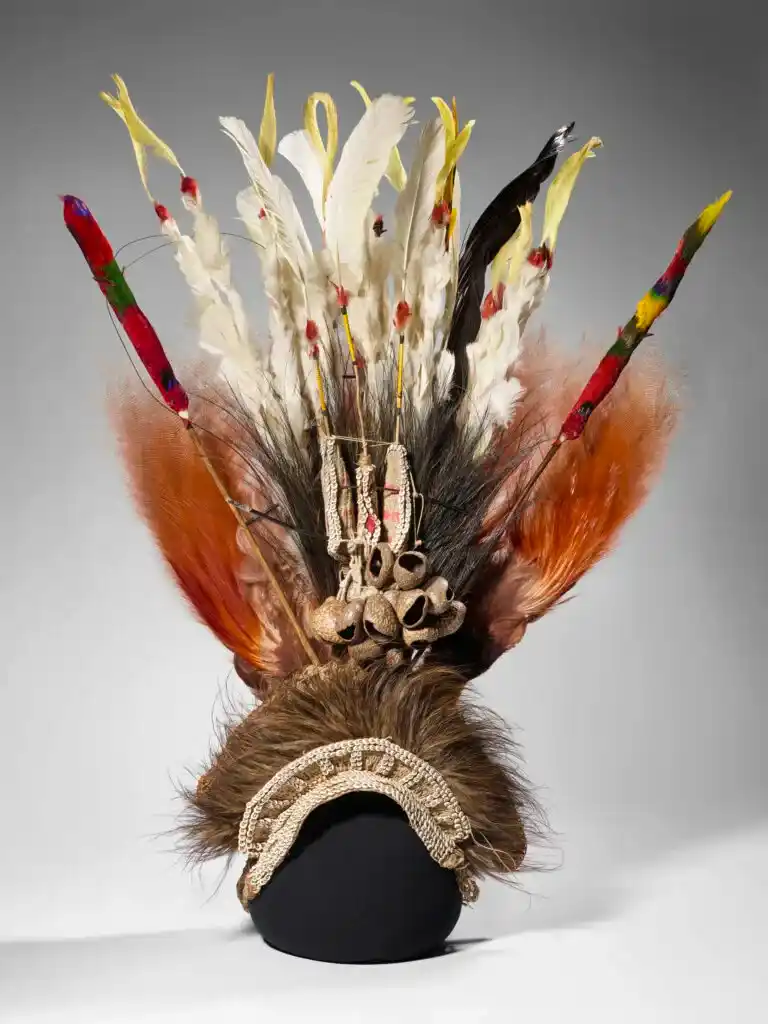 Exposition Plumes du paradis au musée du quai Branly Paris, ou l'odyssée des oiseaux de Nouvelle-Guinée !