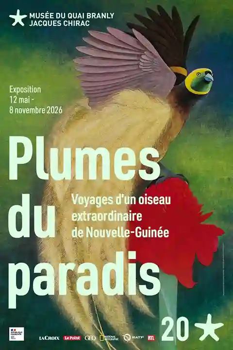 Exposition Plumes du paradis au musée du quai Branly Paris, ou l&rsquo;odyssée des oiseaux de Nouvelle-Guinée !