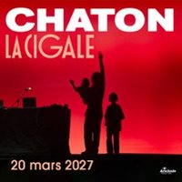 Chaton Paris