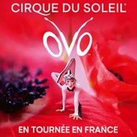 Cirque du Soleil – Ovo – Tournée Eckbolsheim
