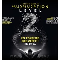 murmuration-level-2-choregraphie-par-sadeck-berrabah-tournee-cannes