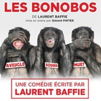 Les Bonobos Albi