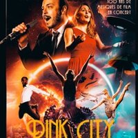 Pink City Orchestra Albi