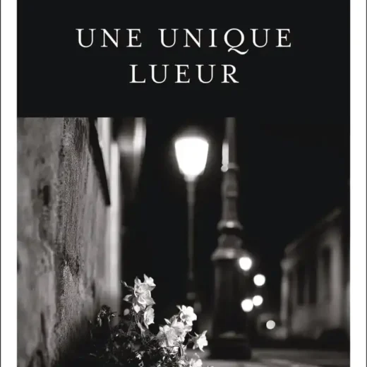 Une unique lueur de Fred Vargas : un livre sans surprises, mais un bon cru !